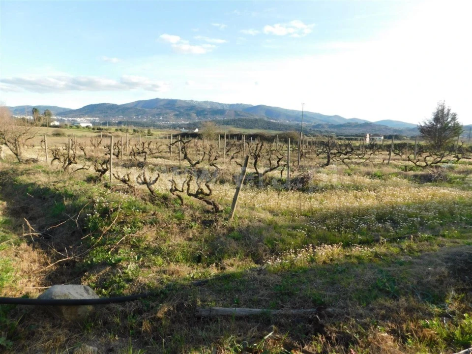 Terreno para Venda em Telhado Foto 3