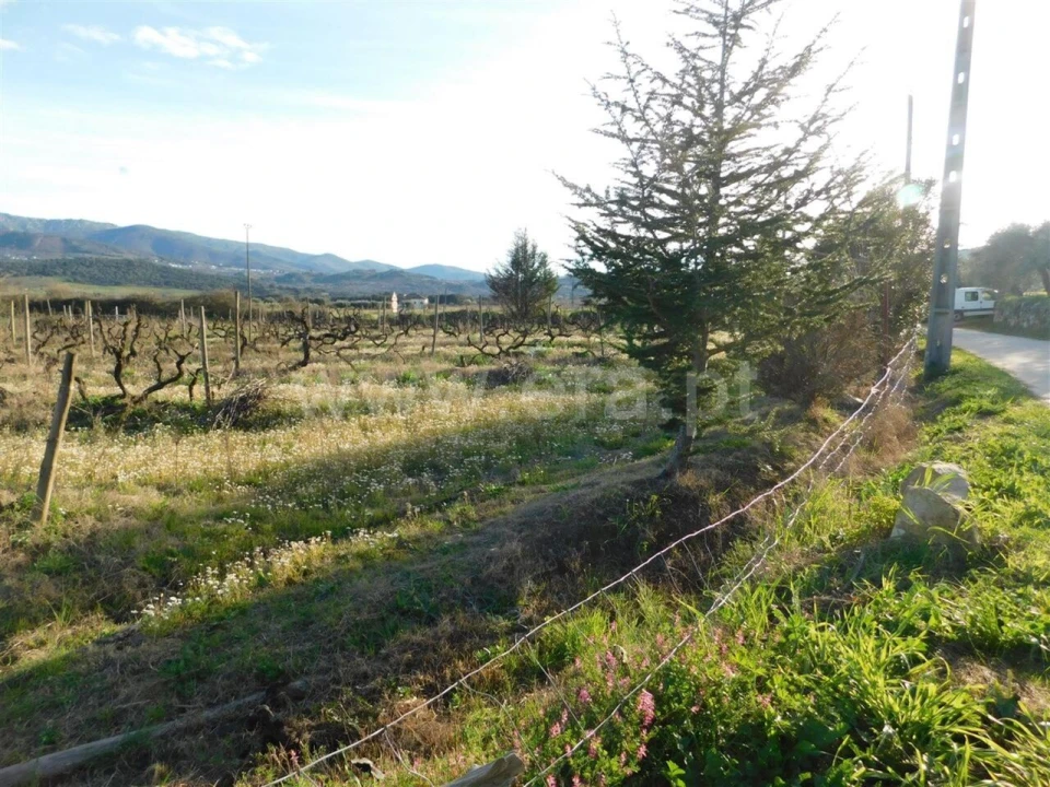 Terreno para Venda em Telhado Foto 5