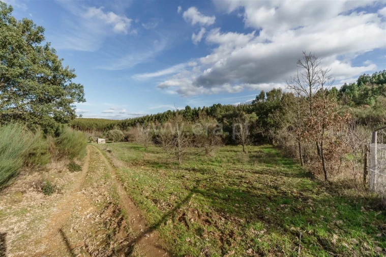 Terreno para Venda em Fatela Foto 4