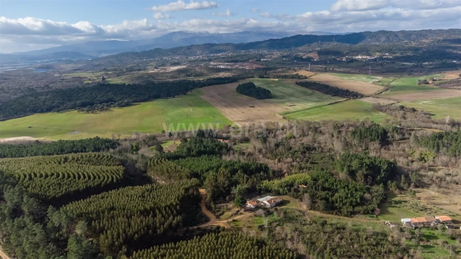 Terreno para Venda em Fatela Foto 14