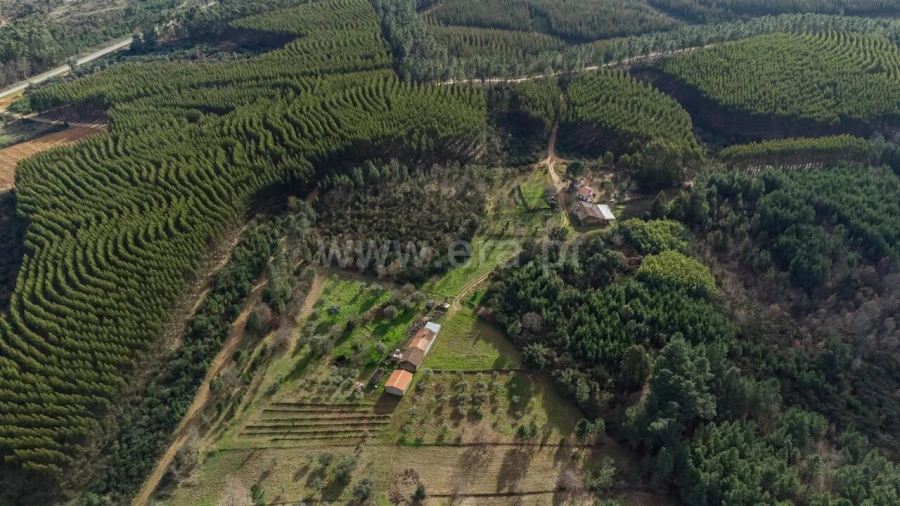 Terreno para Venda em Fatela Foto 12