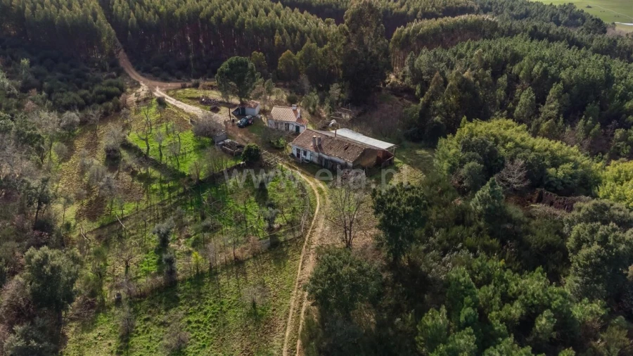 Terreno para Venda em Fatela Foto 1