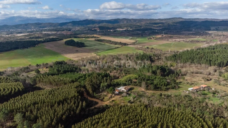Terreno para Venda em Fatela Foto 16