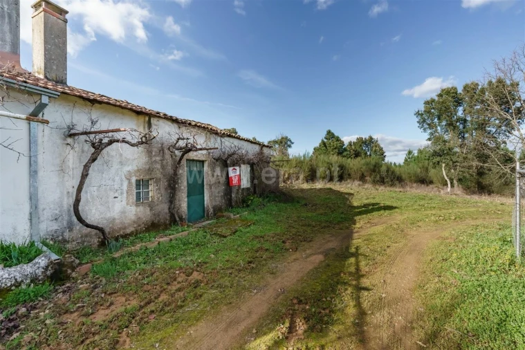 Terreno para Venda em Fatela Foto 2