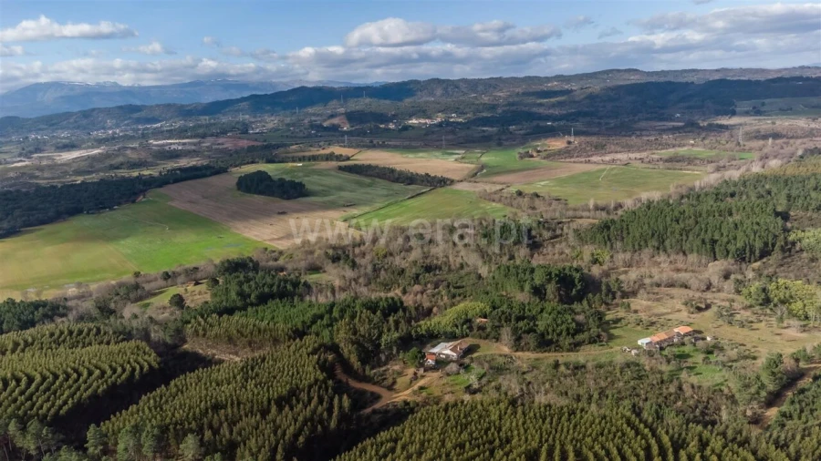 Terreno para Venda em Fatela Foto 15