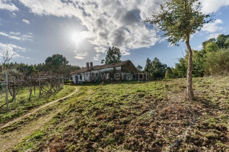 Terreno para Venda em Fatela Foto 5
