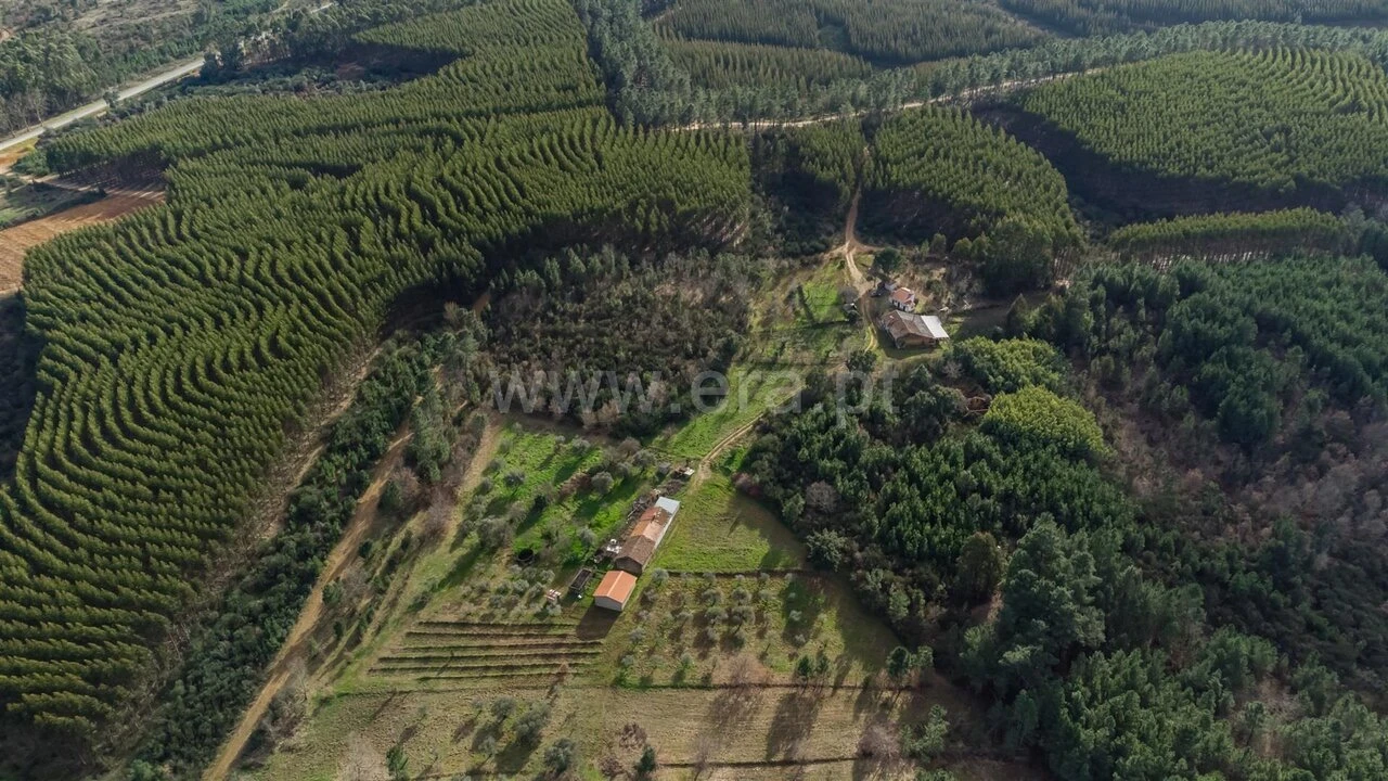 Terreno para Venda em Fatela Foto 12