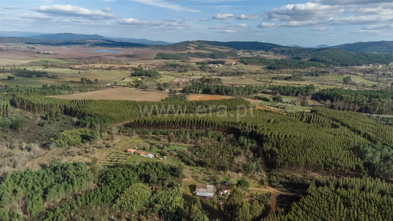 Terreno para Venda em Fatela Foto 9