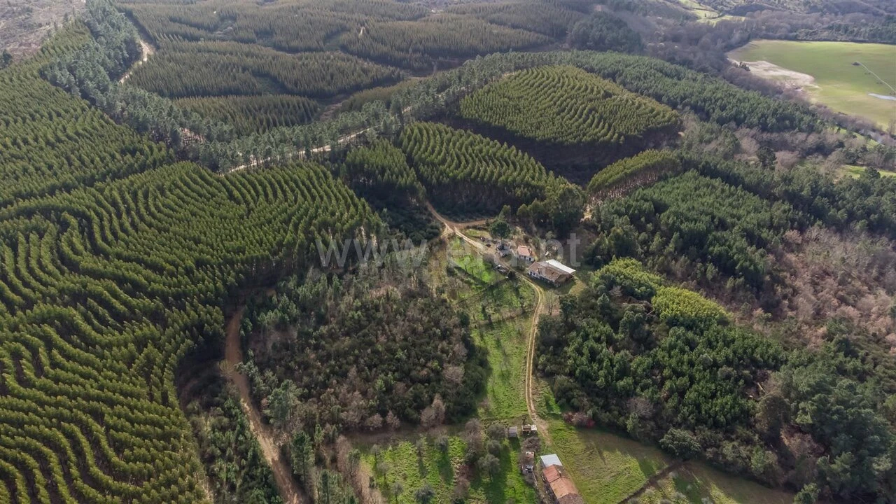 Terreno para Venda em Fatela Foto 13
