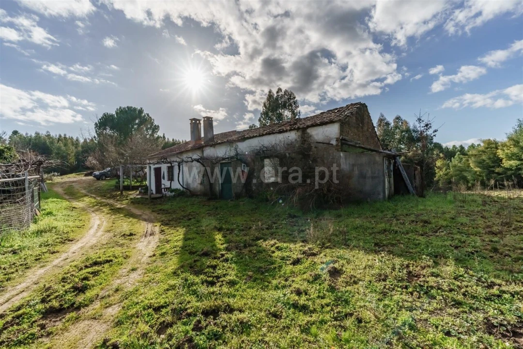 Terreno para Venda em Fatela Foto 3
