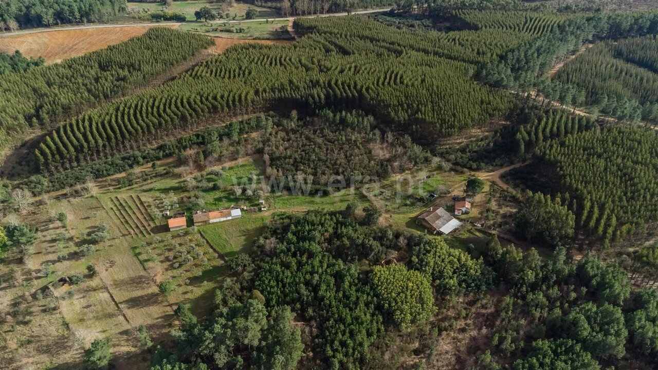 Terreno para Venda em Fatela Foto 11