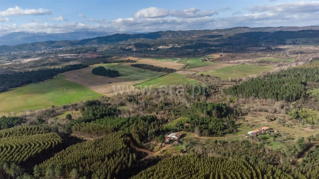 Terreno para Venda em Fatela Foto 15