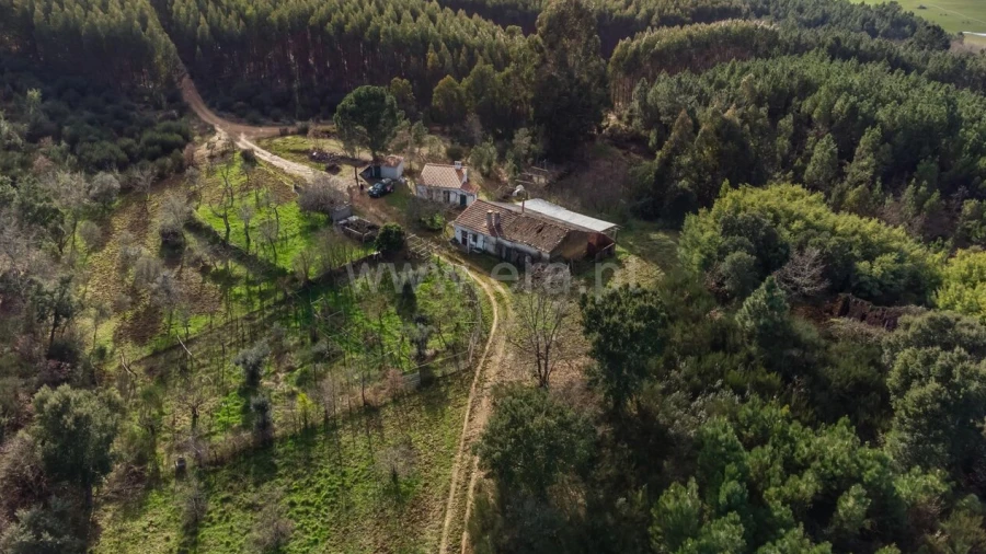 Terreno para Venda em Fatela