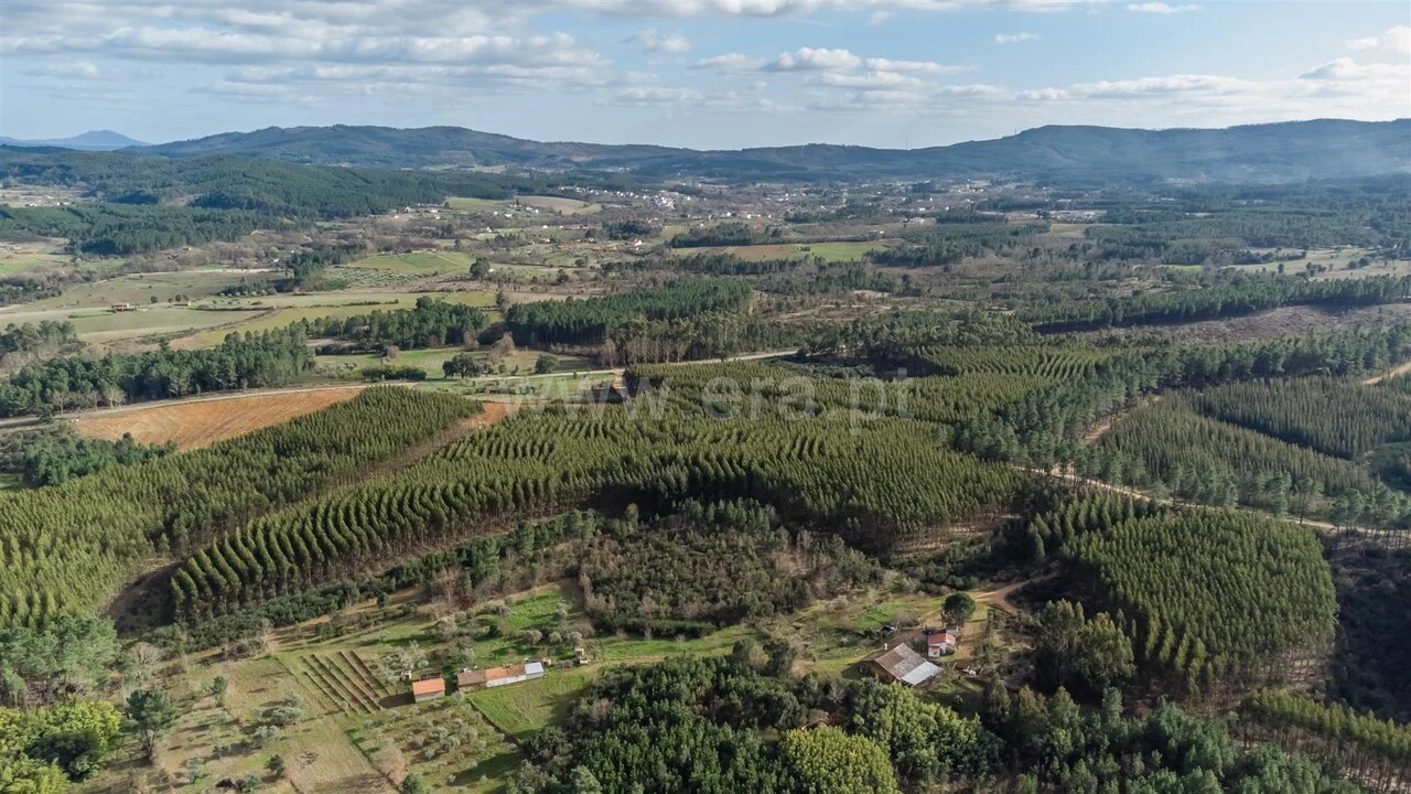 Terreno para Venda em Fatela Foto 10
