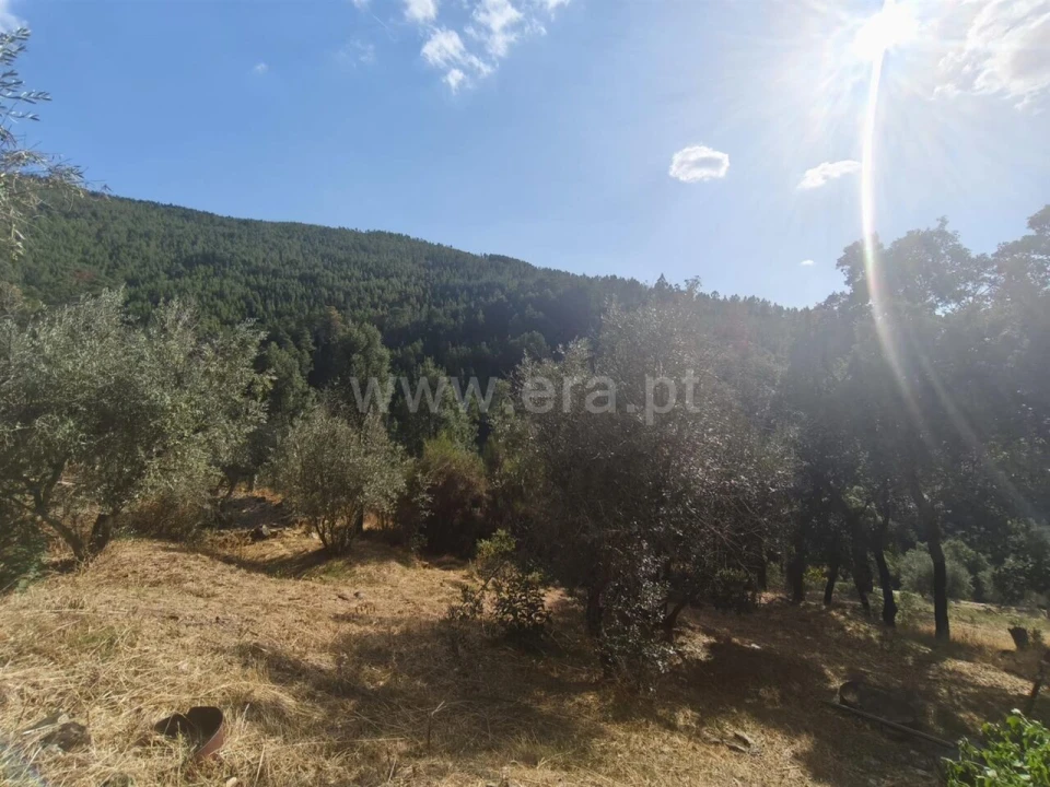 Moradia T3 para Venda em Bogas de Cima Foto 9