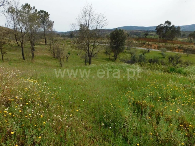 Terreno para Venda em Pero Viseu Foto 8