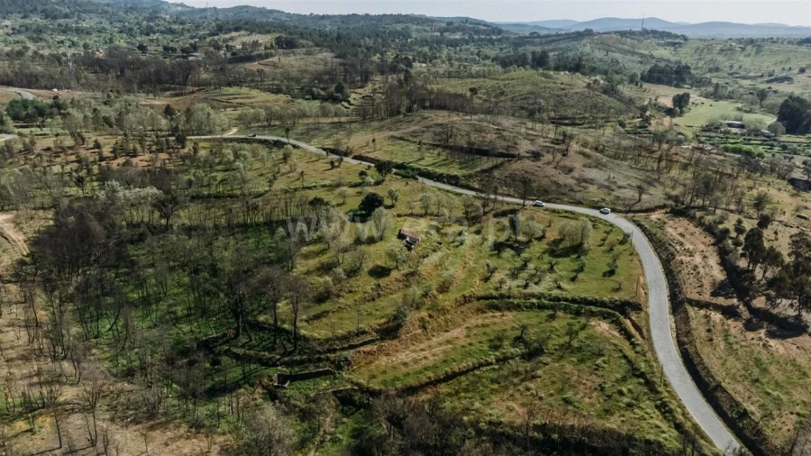 Terreno para Venda em Pero Viseu Foto 3