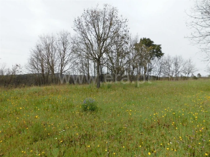 Terreno para Venda em Pero Viseu Foto 16
