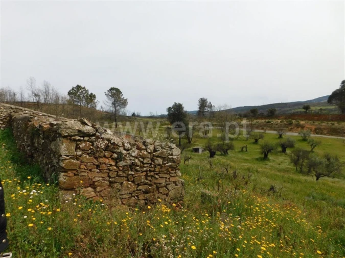Terreno para Venda em Pero Viseu Foto 13