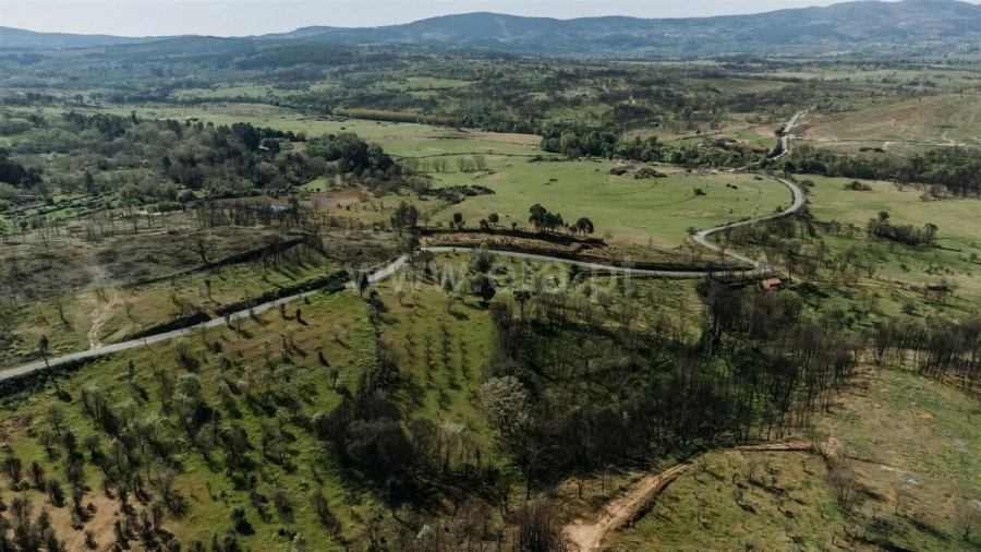 Terreno para Venda em Pero Viseu Foto 5