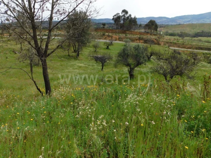 Terreno para Venda em Pero Viseu Foto 10