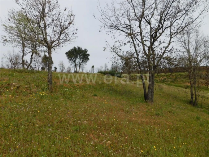 Terreno para Venda em Pero Viseu Foto 11