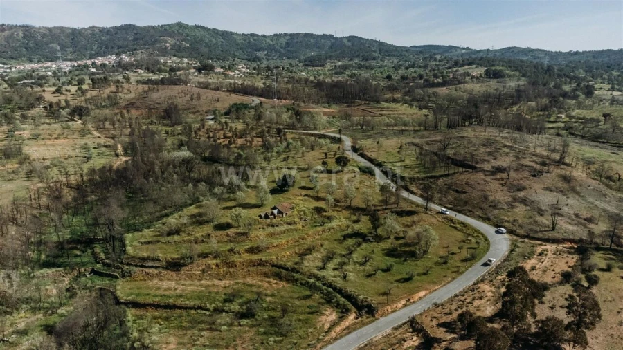 Terreno para Venda em Pero Viseu Foto 6
