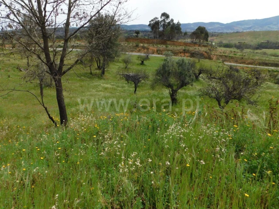 Terreno para Venda em Pero Viseu Foto 10