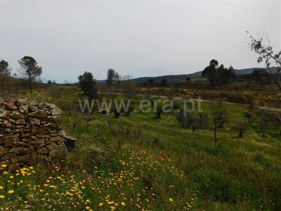 Terreno para Venda em Pero Viseu Foto 15