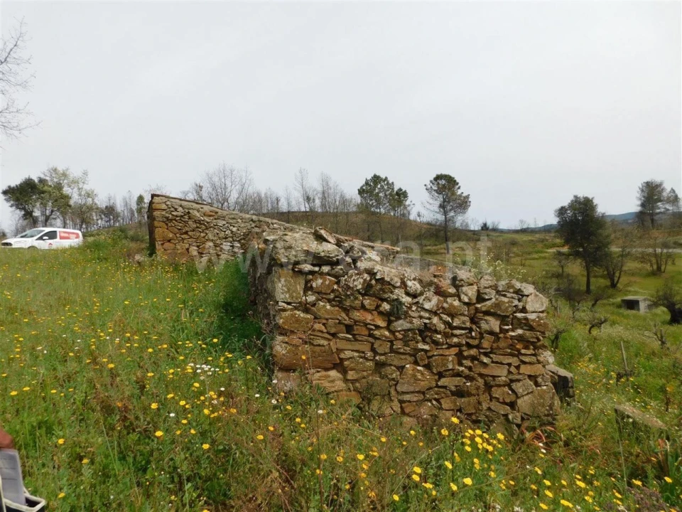 Terreno para Venda em Pero Viseu Foto 14