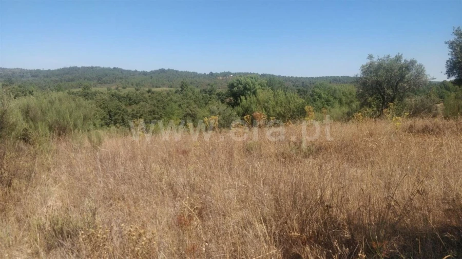 Terreno para Venda em Capinha Foto 2