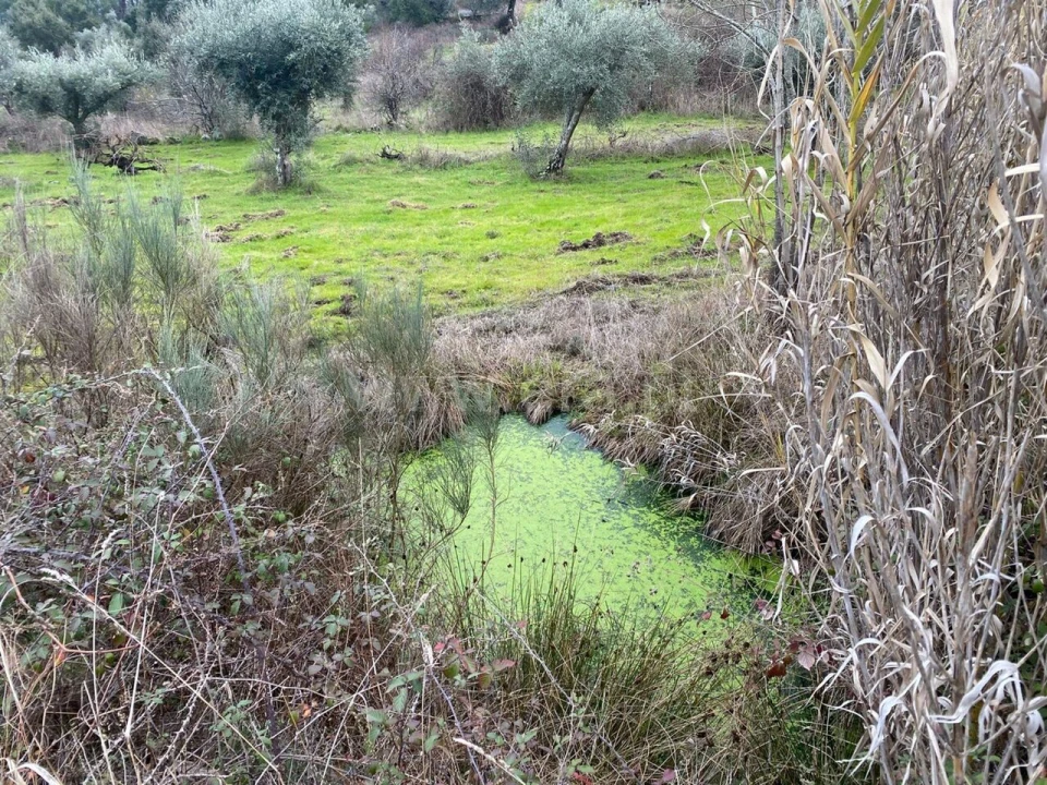 Terreno para Venda em Orca Foto 8