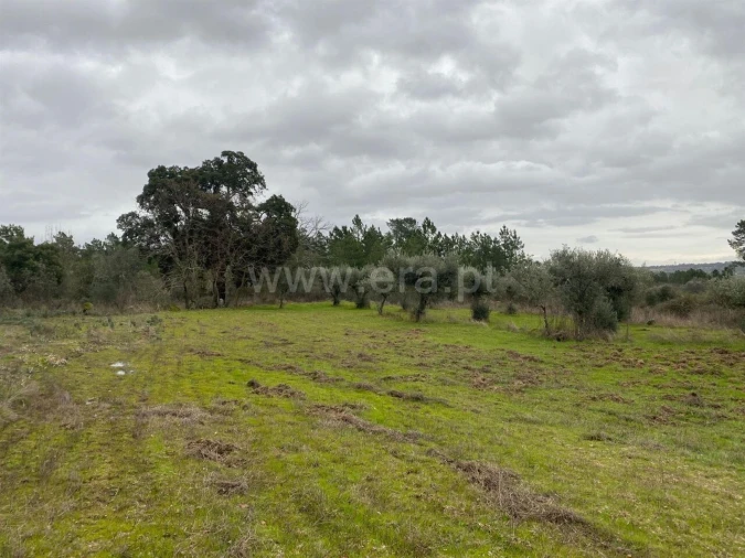 Terreno para Venda em Orca Foto 7