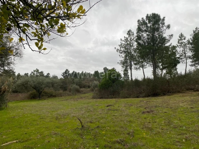 Terreno para Venda em Orca Foto 2