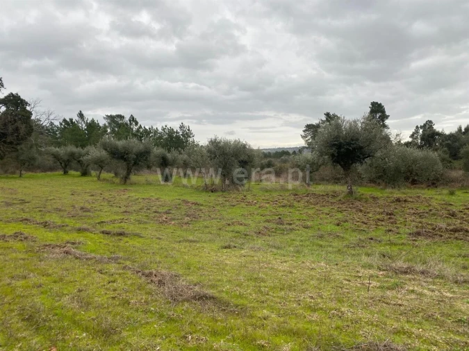 Terreno para Venda em Orca Foto 1