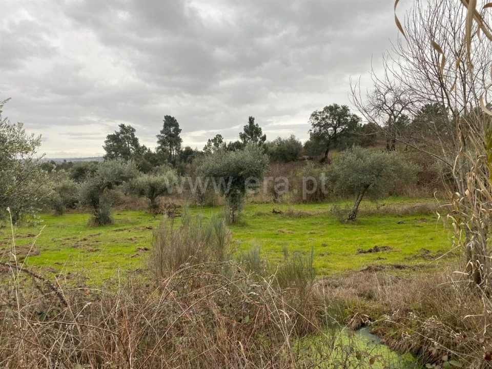 Terreno para Venda em Orca Foto 4