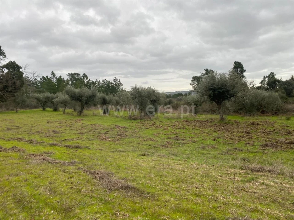 Terreno para Venda em Orca Foto 6
