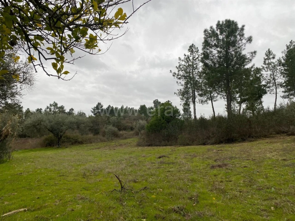 Terreno para Venda em Orca Foto 2