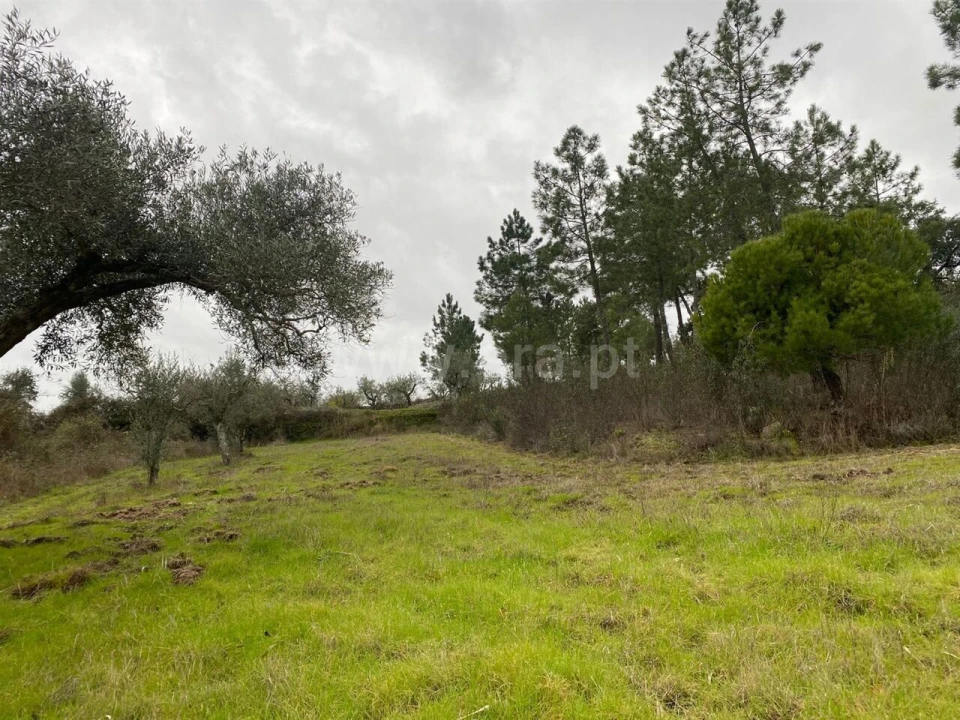 Terreno para Venda em Orca Foto 3