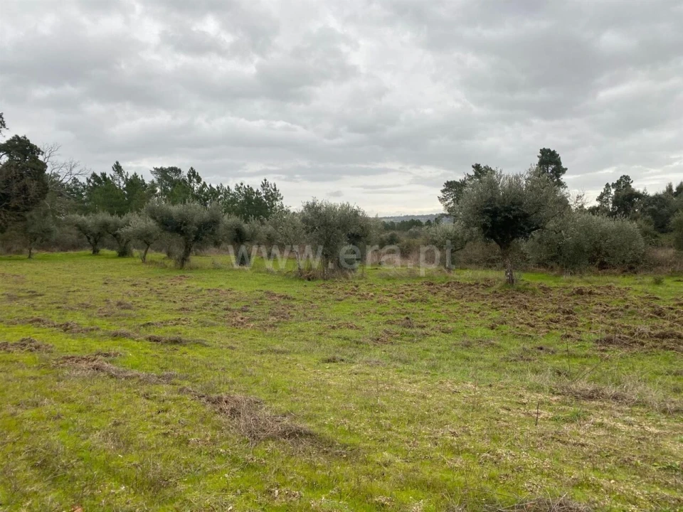 Terreno para Venda em Orca Foto 1