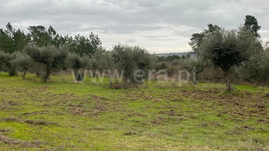 Terreno para Venda em Orca