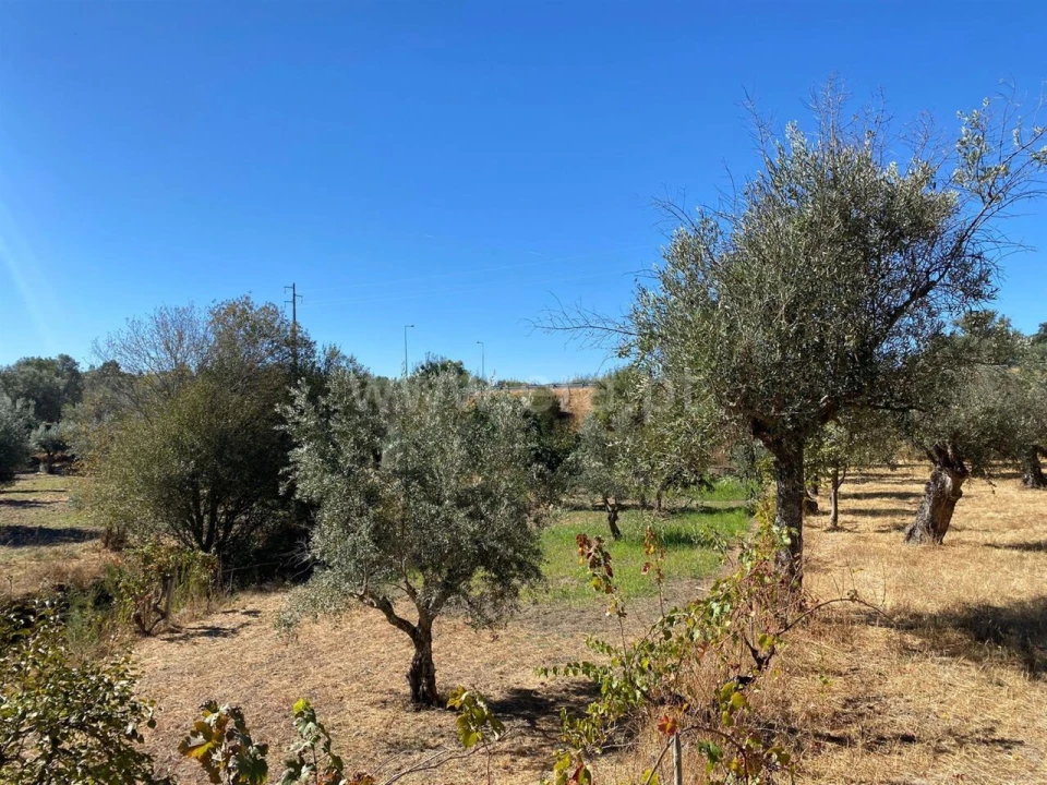 Quinta T0 para Venda em Castelo Novo Foto 3