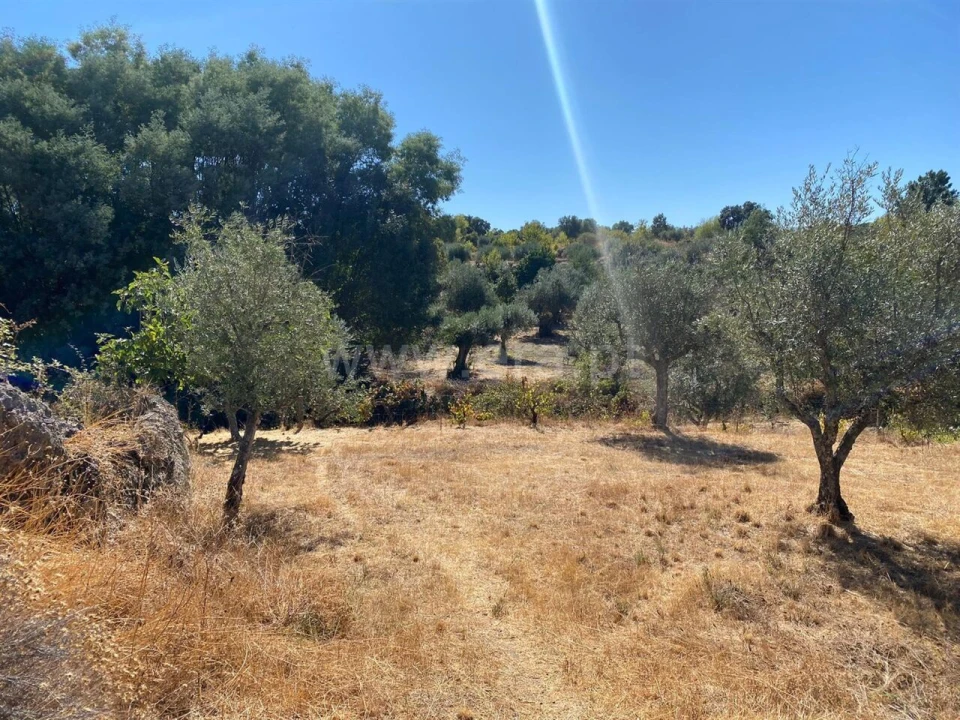 Quinta T0 para Venda em Castelo Novo Foto 10