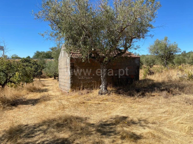 Quinta T0 para Venda em Castelo Novo Foto 11