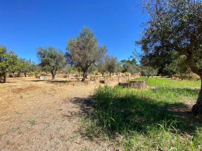 Quinta T0 para Venda em Castelo Novo Foto 1