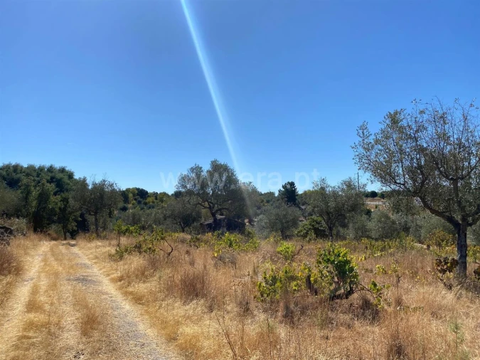 Quinta T0 para Venda em Castelo Novo Foto 8