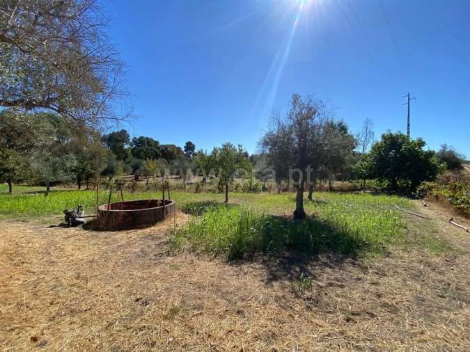 Quinta T0 para Venda em Castelo Novo Foto 2