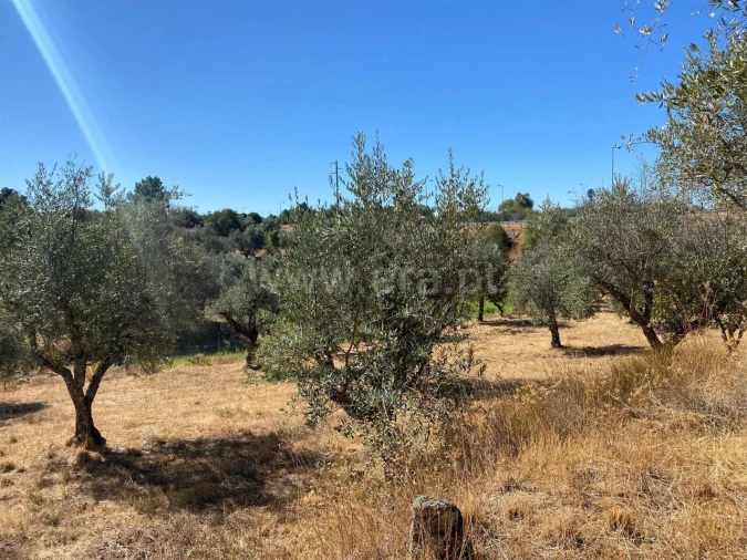 Quinta T0 para Venda em Castelo Novo Foto 7