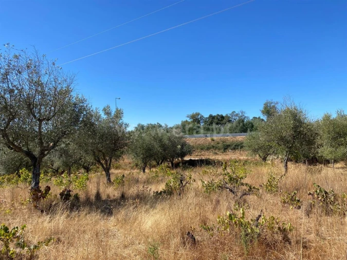 Quinta T0 para Venda em Castelo Novo Foto 9