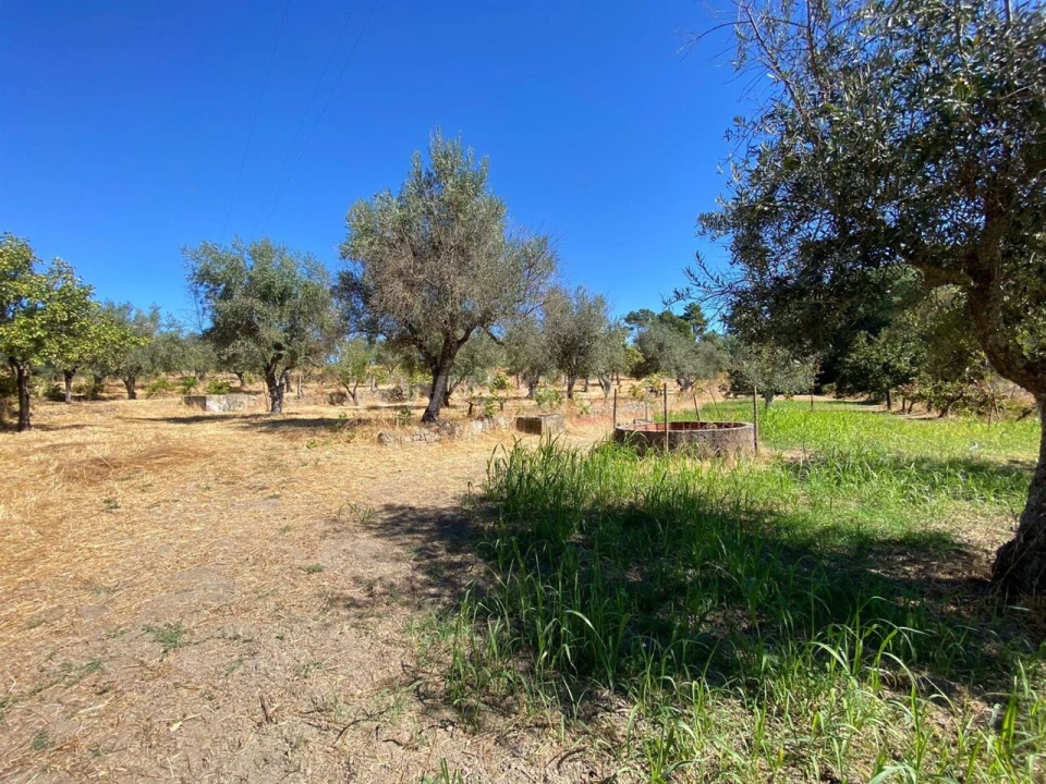 Quinta T0 para Venda em Castelo Novo Foto 1